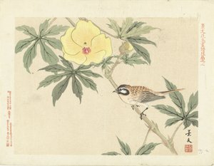 Fågel på gren med gul blomma Blom- och fågelskisser från Keibun - del tre (serietitel) Keibun kacho gafu kohen (serietitel på objekt)