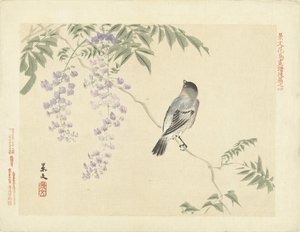 Fågel på blåregn gren Flower and Bird Sketches of Keibun - del tre (serietitel) Keibun kacho gafu kohen (serietitel på objekt)