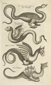 Tab XII, Mytiska varelser, Drakar, Illustration från "Fyrfotingarnas naturhistoria"