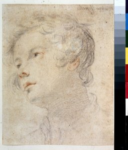 Huvudet av en pojke. Målning av Matteo Rosselli (1578-1650). Krita och röd krita på papper