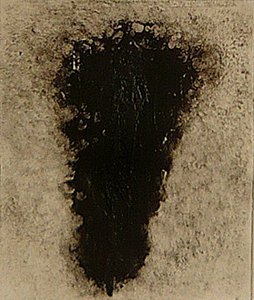 ossie, 2009 (helioprint) av Matthew Hilton