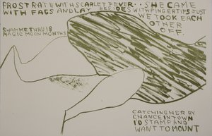 hon kom med bögar, 2009 (litografi) av Matthew Hilton