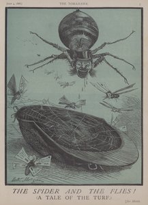 Spindeln och flugorna! (färg litho) av Matthew
