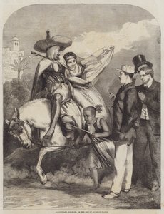 Dignity and Mischief, en incident av Algerian Travel