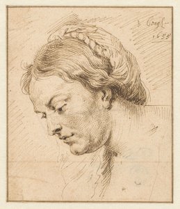 swedish av Matthys van den Bergh