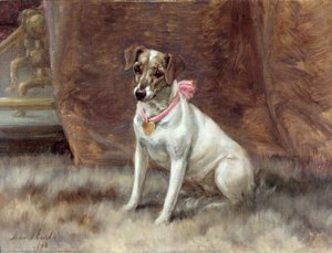 Den rosa rosetten, 1898