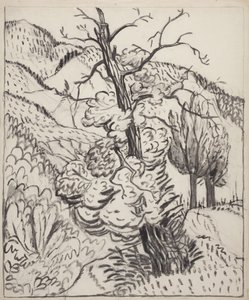 Träd på bergssluttning, ca 1930 (pensel, bläck  kol på benvitt papper) av Maud Hunt Squire
