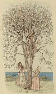 Plocka apelsiner på Medelhavet (färg litho) av Maurice Charles Mathieu Bonvoisin