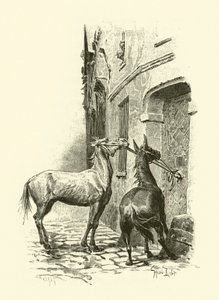Illustration för De tre musketörerna (gravyr) av Maurice Leloir