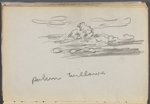 Skissbok, The Dells, nr 127, sidan 184: "Salem Willows"