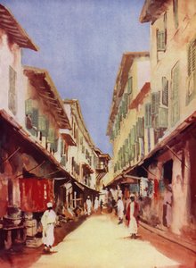 En gata i Zanzibar (färg litho)