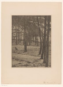 Dennenbosch I (originaltitel på objekt) Bos (originaltitel)