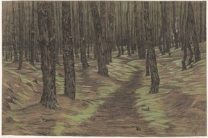 tallskog