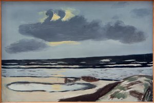 Havs strand