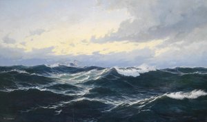 Marinstycke med ångkokare