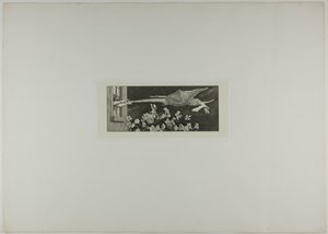 Abduction, platta nio från A Glove av Max Klinger