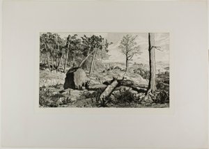 Simplicius in the Solitude of the Forest, tallrik tio från Intermezzos av Max Klinger
