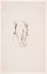 "Weg der Befleckung" - "Elefant och sniffande hund" av Max Klinger