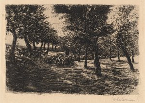 Flock av får under träd, 1891. av Max Liebermann