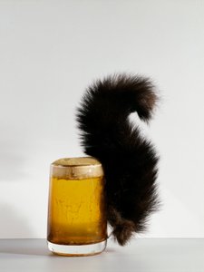 Ekorren Glas