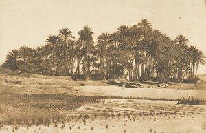 Utsikt över Elephantine Island, mitt emot Aswan, 1849-50. av Maxime Du Camp