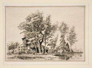 Akaciaträd av Maxime Lalanne