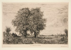 The Alms of C?non av Maxime Lalanne