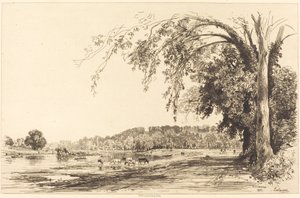 Richmond av Maxime Lalanne