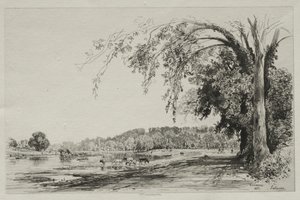 Richmond av Maxime Lalanne