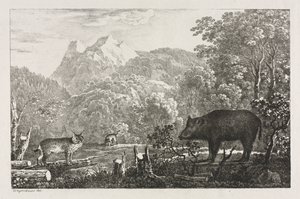Vildsvin, vildkatt och lodjur av Maximilian Josef Wagenbauer