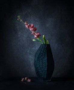 Mörk blommig elegans