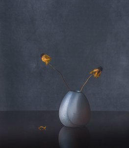 Eleganta torkade blommor av May G