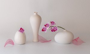 Stilleben med rosa orkidéer