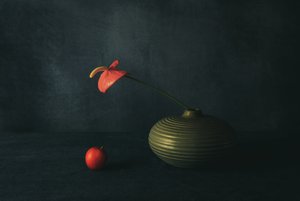 Stilleben med rött anthurium
