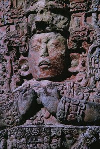 Stele i Grand Plaza (sten) (detalj av 231827) av Mayan Mayan