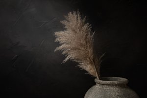 Mörk rustik pampas