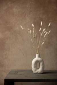 Minimalistiskt stilleben med torkat gräs