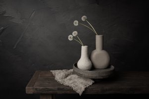 Minimalistiska blomvaser