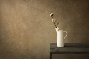 Rustikt stilleben med bomull