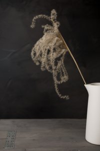 Vit kanna med pampasgräs