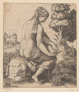 Venus och rosen