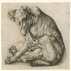 klia hund av Meester van het Amsterdamse Kabinet