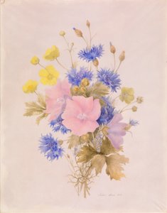 Fält blommor av Melanie Marc