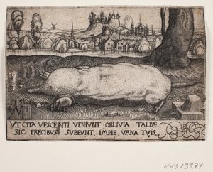 Mullvaden av Melchior Lorck