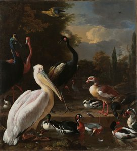 En pelikan och andra fåglar nära en pool, känd som "Den flytande fjädern" En pelikan och andra fåglar nära en pool, känd som "Den flytande fjädern"