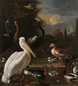 En pelikan och andra fåglar nära en vattenbassäng, känd som "The Floating Feather" av Melchior dHondecoeter