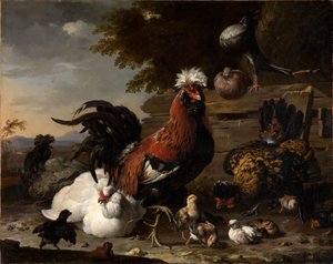 Fred på hönsgården av Melchior de Hondecoeter