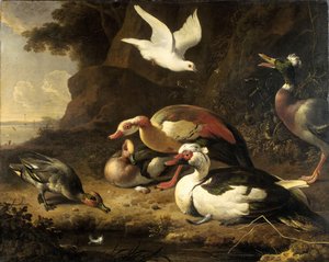 Ankor av Melchior de Hondecoeter