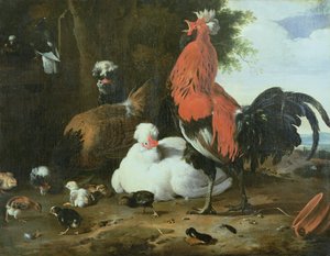 Gårdshöns med duvor av Melchior de Hondecoeter