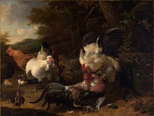 Kämpande tuppar av Melchior de Hondecoeter